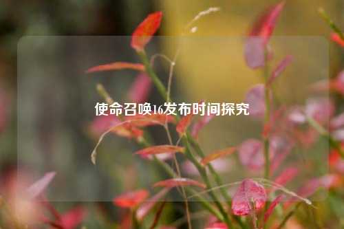 使命召唤16发布时间探究
