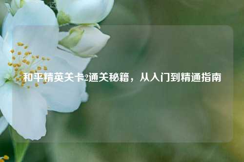 和平精英关卡2通关秘籍，从入门到精通指南