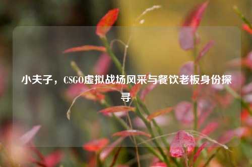 小夫子，CSGO虚拟战场风采与餐饮老板身份探寻