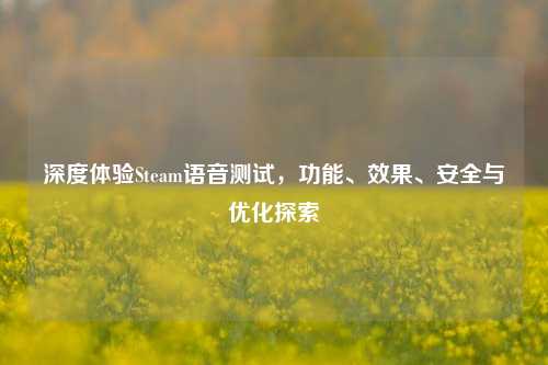 深度体验Steam语音测试,功能、效果、安全与优化探索