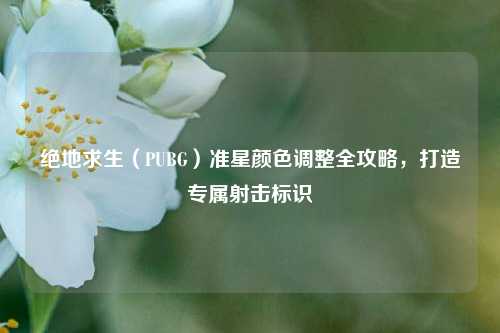 绝地求生（PUBG）准星颜色调整全攻略，打造专属射击标识