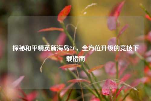 探秘和平精英新海岛2.0,全方位升级的竞技下载指南
