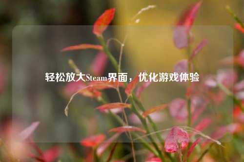 轻松放大Steam界面，优化游戏体验