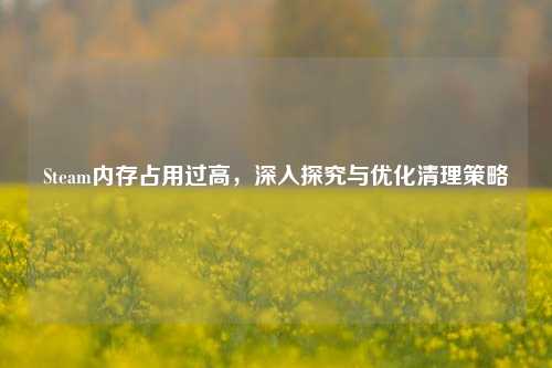 Steam内存占用过高，深入探究与优化清理策略