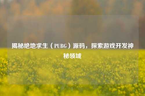 揭秘绝地求生(PUBG)源码,探索游戏开发神秘领域