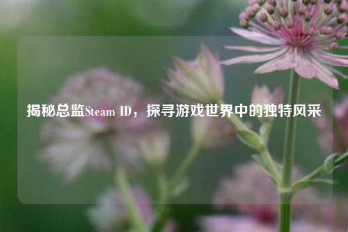 揭秘总监Steam ID,探寻游戏世界中的独特风采