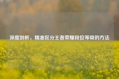 深度剖析,精准区分王者荣耀段位等级的方法