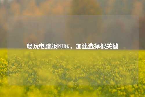 畅玩电脑版PUBG,加速选择很关键