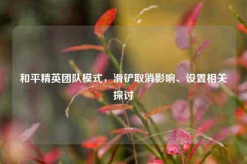 和平精英团队模式,滑铲取消影响、设置相关探讨