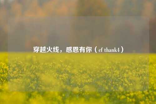 穿越火线,感恩有你(cf thank4)