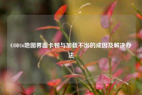 COD16地图界面卡顿与加载不出的成因及解决办法