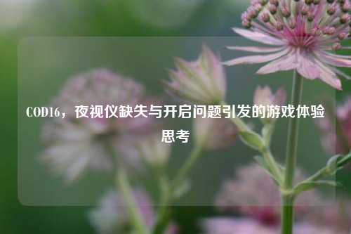 COD16，夜视仪缺失与开启问题引发的游戏体验思考