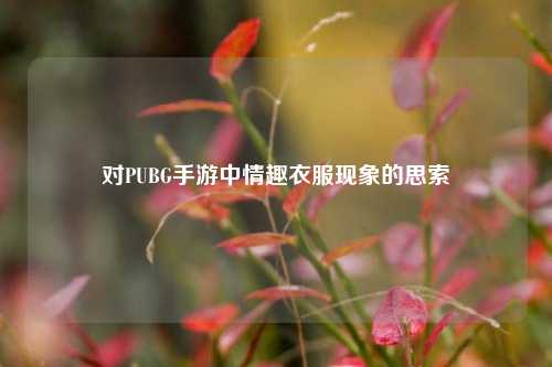 对PUBG手游中情趣衣服现象的思索