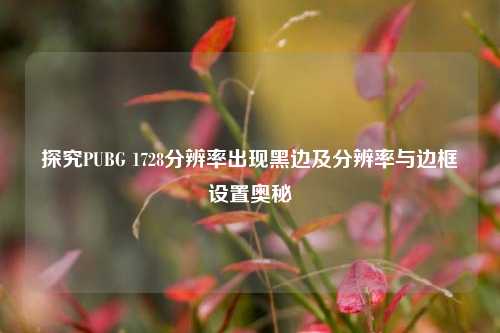 探究PUBG 1728分辨率出现黑边及分辨率与边框设置奥秘