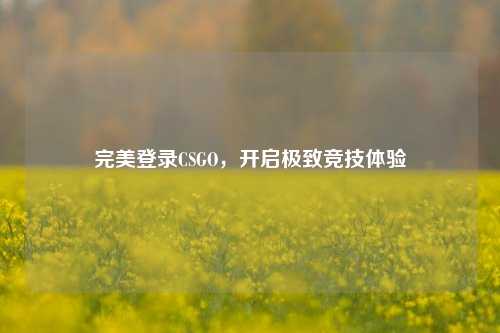 完美登录CSGO，开启极致竞技体验