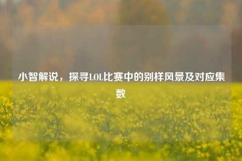 小智解说,探寻LOL比赛中的别样风景及对应集数