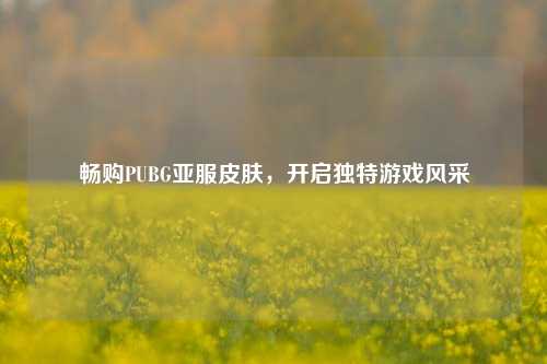 畅购PUBG亚服皮肤,开启独特游戏风采