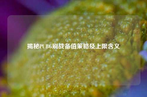 揭秘PUBG刷战备值策略及上限含义