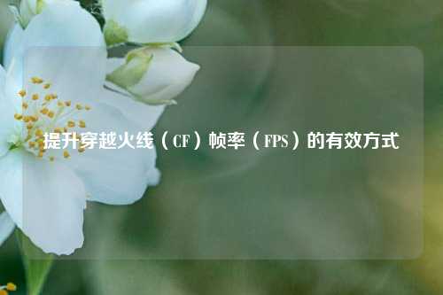 提升穿越火线(CF)帧率(FPS)的有效方式