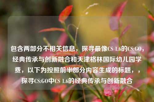 包含两部分不相关信息，探寻最像CS 1.6的CS:GO，经典传承与创新融合和天津格林国际幼儿园学费，以下为按照前半部分内容生成的标题，，探寻CS:GO中CS 1.6的经典传承与创新融合