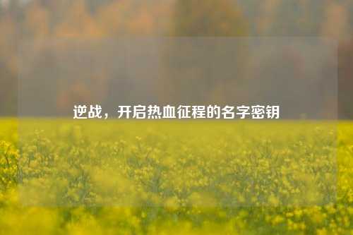 逆战，开启热血征程的名字密钥