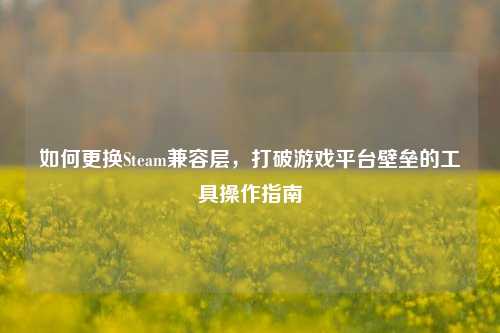 如何更换Steam兼容层,打破游戏平台壁垒的工具操作指南