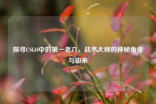 探寻CSGO中的第一老六，战术大师的神秘角逐与由来
