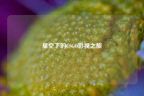 星空下的CSGO影视之旅