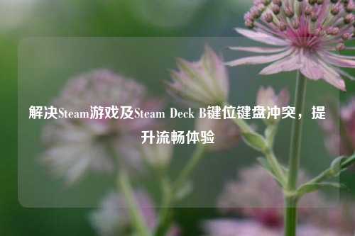 解决Steam游戏及Steam Deck B键位键盘冲突,提升流畅体验