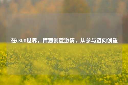 在CSGO世界,挥洒创意激情,从参与迈向创造