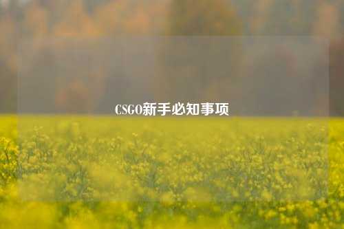 CSGO新手必知事项
