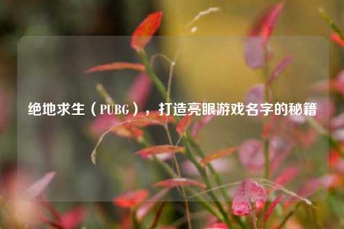 绝地求生（PUBG），打造亮眼游戏名字的秘籍