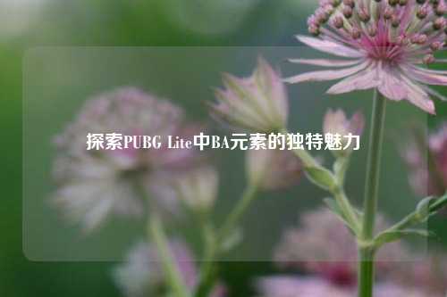 探索PUBG Lite中BA元素的独特魅力