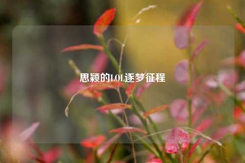 思颖的LOL逐梦征程