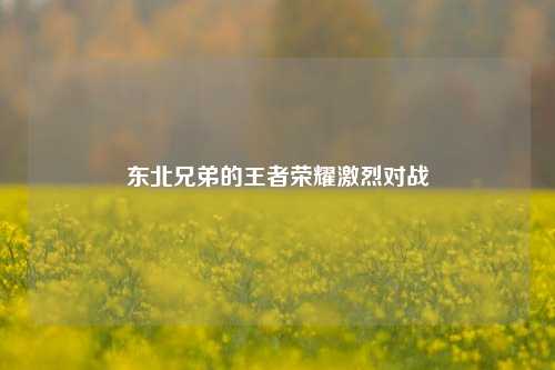 东北兄弟的王者荣耀激烈对战