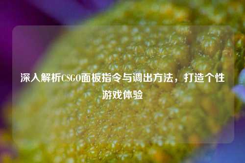深入解析CSGO面板指令与调出方法,打造个性游戏体验