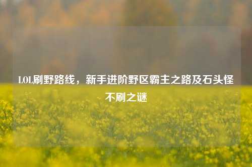 LOL刷野路线,新手进阶野区霸主之路及石头怪不刷之谜