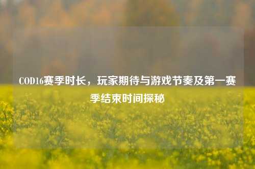 COD16赛季时长,玩家期待与游戏节奏及第一赛季结束时间探秘