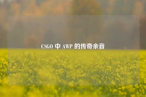CSGO 中 AWP 的传奇余音