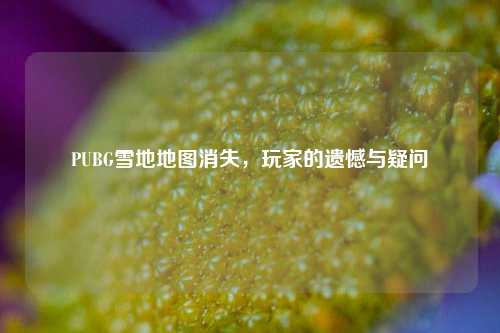 PUBG雪地地图消失，玩家的遗憾与疑问