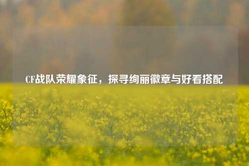 CF战队荣耀象征,探寻绚丽徽章与好看搭配