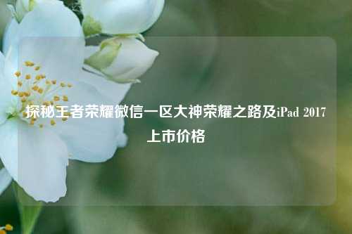 探秘王者荣耀微信一区大神荣耀之路及iPad 2017上市价格