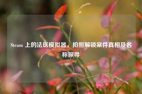 Steam 上的法医模拟器,拍照解锁案件真相及名称探寻