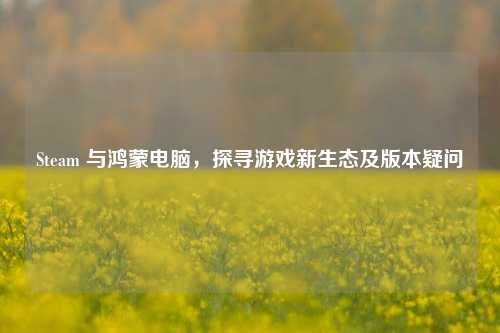 Steam 与鸿蒙电脑,探寻游戏新生态及版本疑问