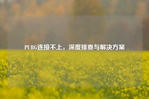 PUBG连接不上,深度排查与解决方案