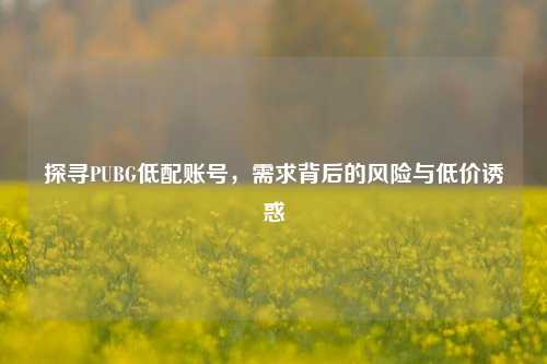 探寻PUBG低配账号,需求背后的风险与低价诱惑