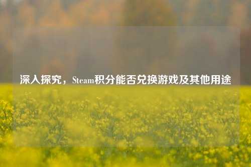 深入探究,Steam积分能否兑换游戏及其他用途