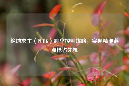 绝地求生(PUBG)跳伞控制攻略,实现精准落点抢占先机