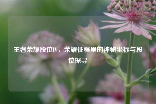 王者荣耀段位IV,荣耀征程里的神秘坐标与段位探寻