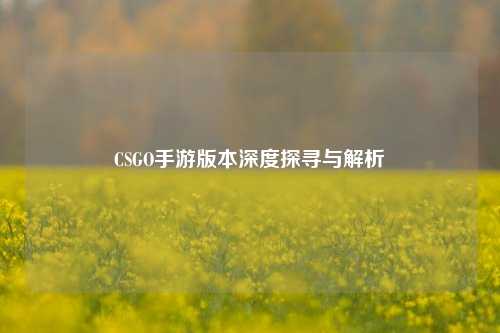 CSGO手游版本深度探寻与解析